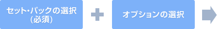 セットパックの選択(必須)+オプションの選択