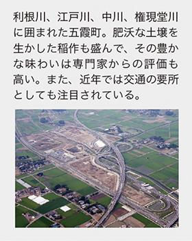 茨城県五霞町