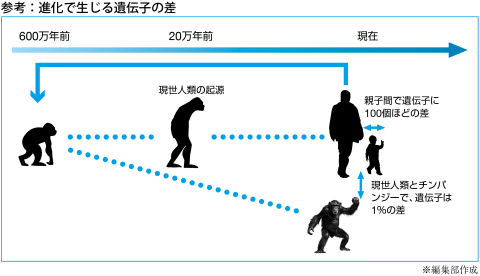 参考①：BCP策定率（業種別）とBCPの見直し頻度の関連性