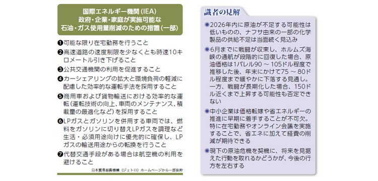 国際エネルギー機関（IEA）政府・企業・家庭が実施可能な石油・ガス使用量削減のための措置（一部）、識者の見解