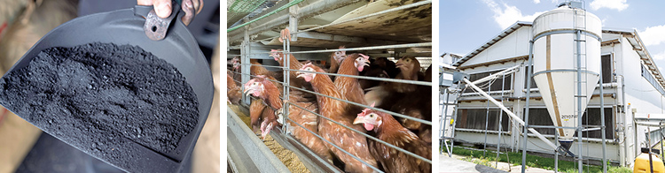 (左)竹炭は自社生産も手掛ける、(右)採卵鶏は最大で約4万羽飼育が可能